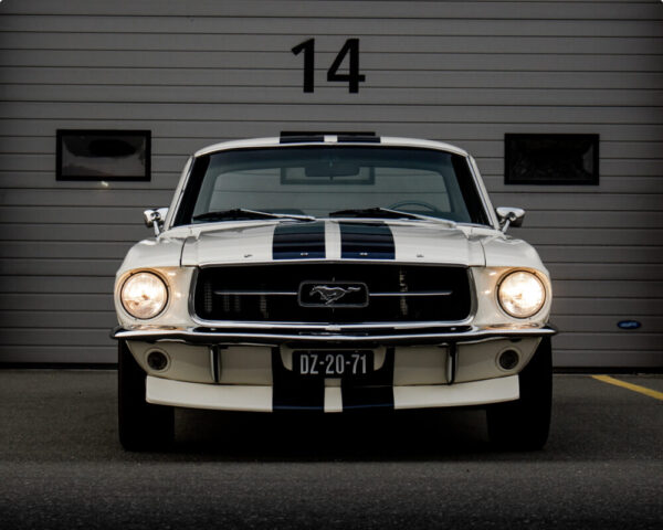 Ford Shelby White Car